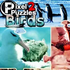 Pixel Puzzles 2 Birds (Steam)