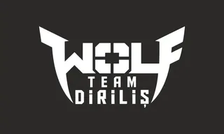 Wolfteam